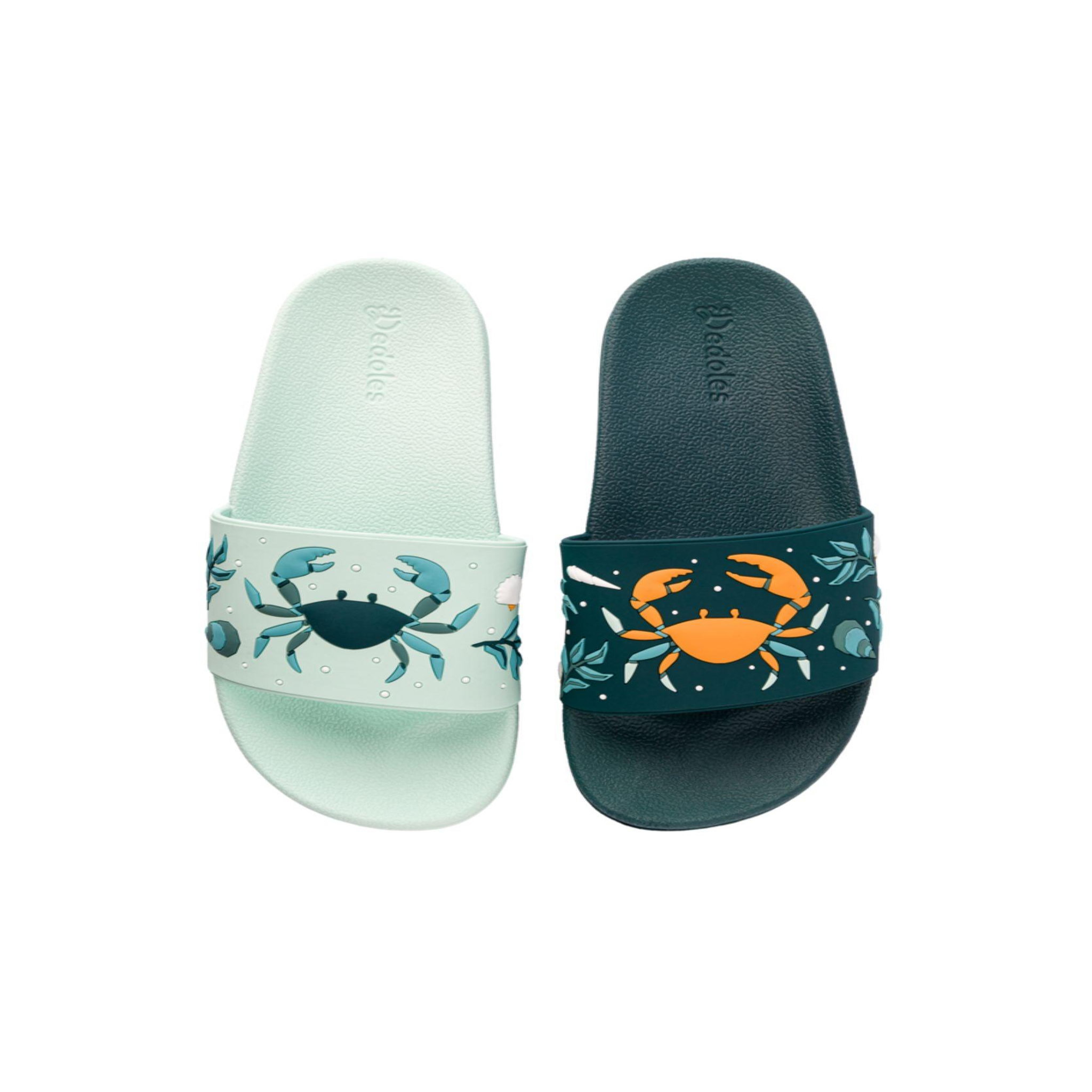Voir la diapositive 2 : DEDOLES Claquettes crabes de mer