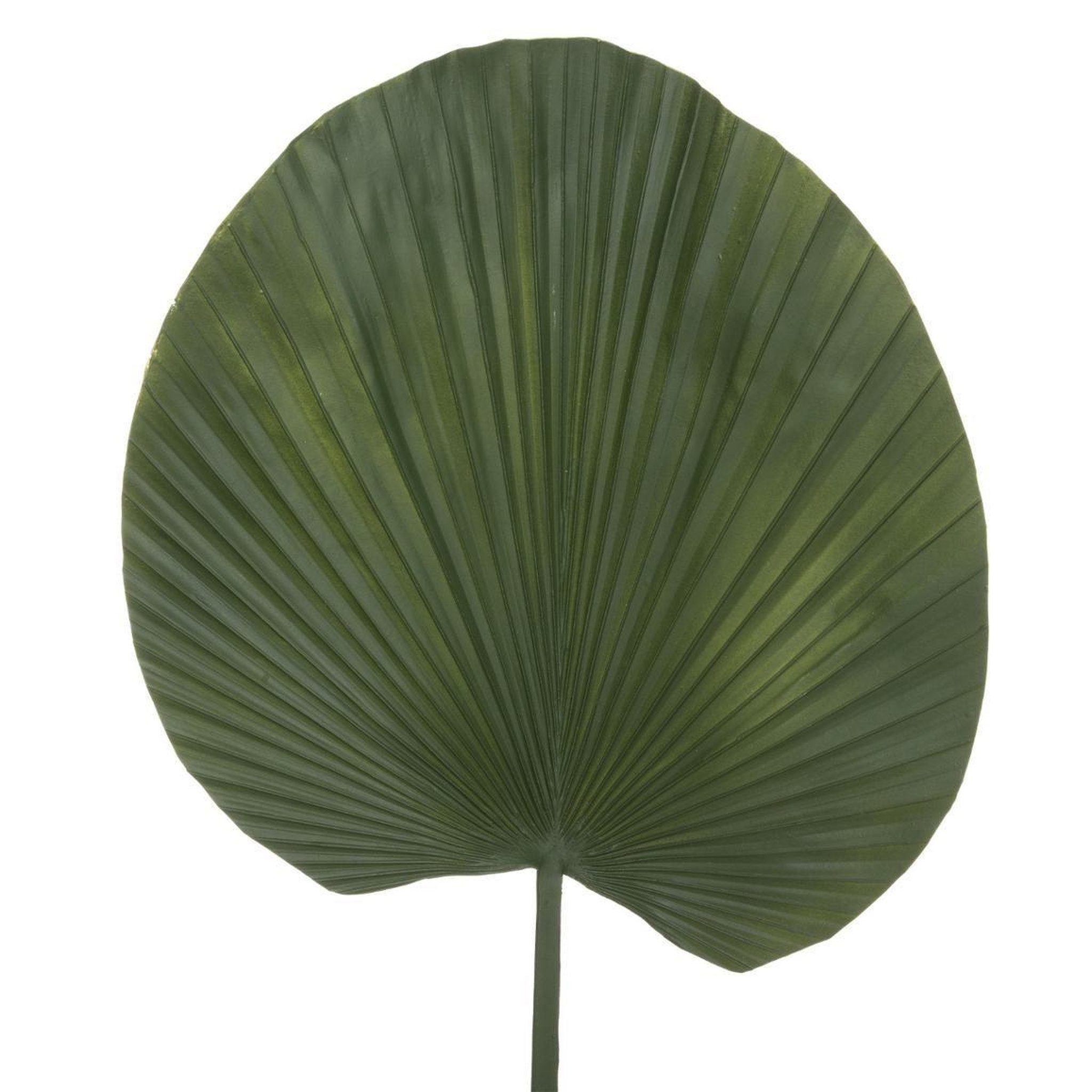 Voir la diapositive 2 : ATMOSPHERA Fleur artificielle nénuphar  feel  91cm vert