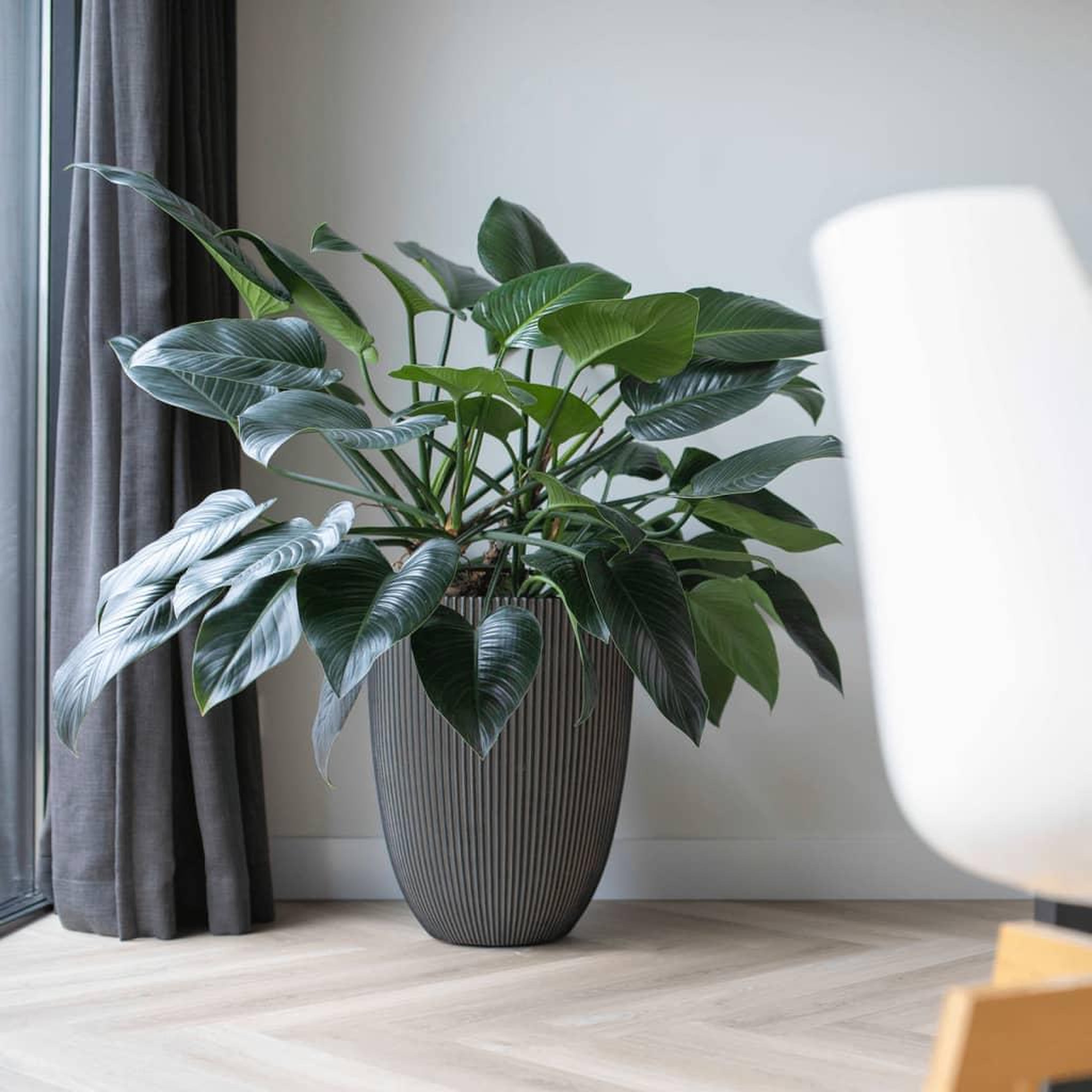 Voir la diapositive 3 : CAPI Capi Vase elegant Groove 34x46 cm anthracite
