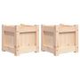 Voir la diapositive 2 : VIDAXL Jardinieres 2 pcs bois de pin massif