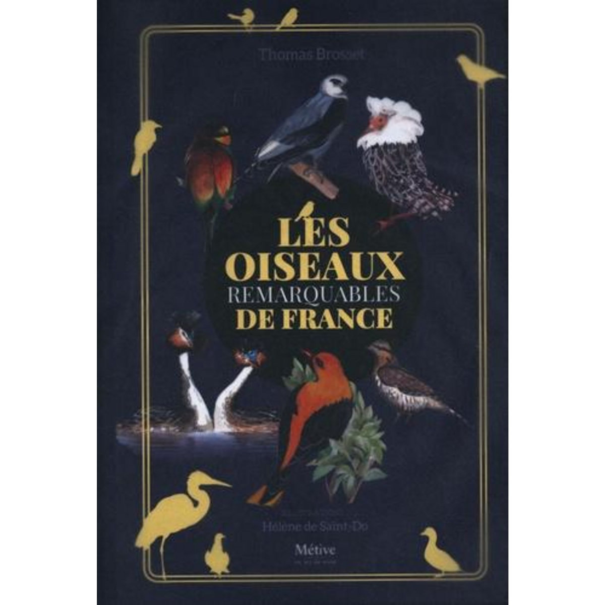 LES OISEAUX REMARQUABLES DE FRANCE, Brosset Thomas
