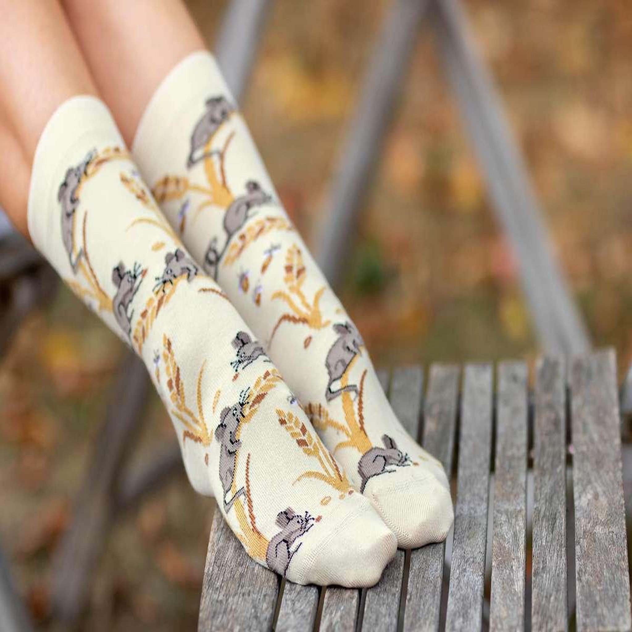 Voir la diapositive 5 : PIRIN HILL Chaussettes coton bio automne souris