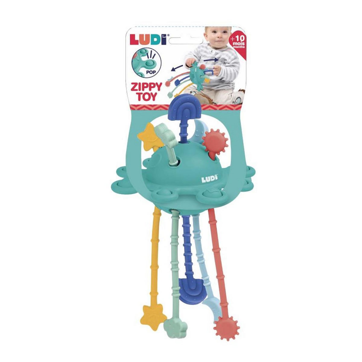 LUDI Zippy toy activite pour tout petit