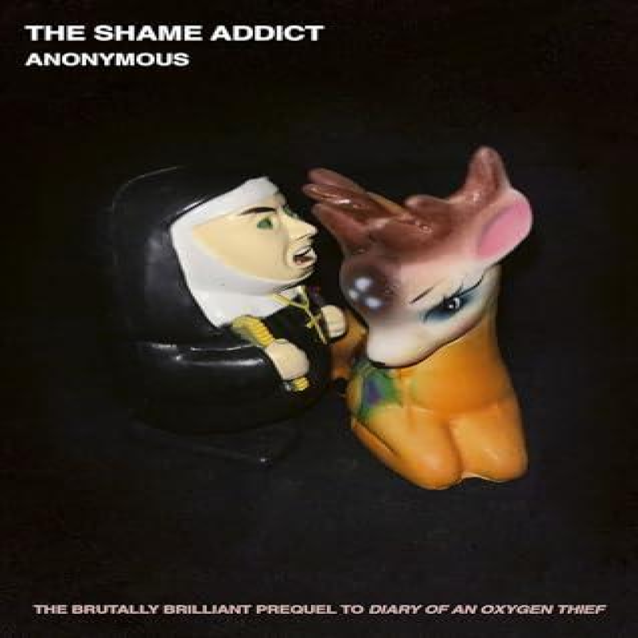 LIVRES Shame Addict - Anonymous