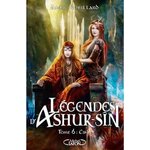 LEGENDES D'ASHUR-SIN TOME 6 : CINN, Robillard Anne