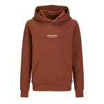 Jack & Jones Sweat Marron Garçon Jack & Jones Vesterbro. Coloris disponibles : Marron