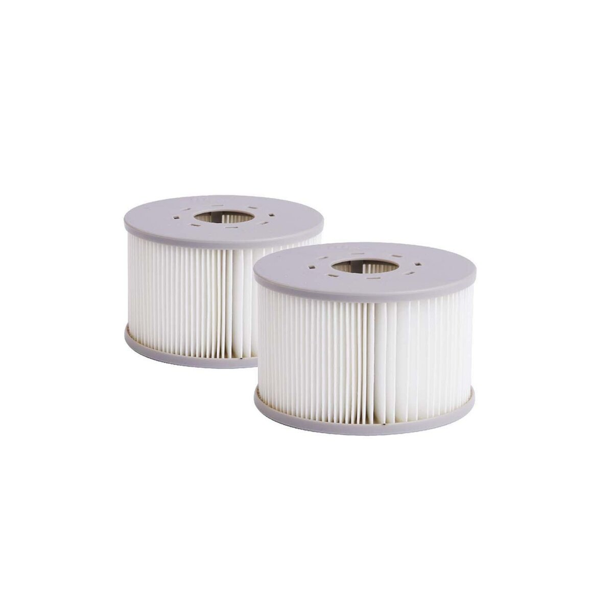 CONCEPT USINE Lot de 2 filtres pour spa Mspa