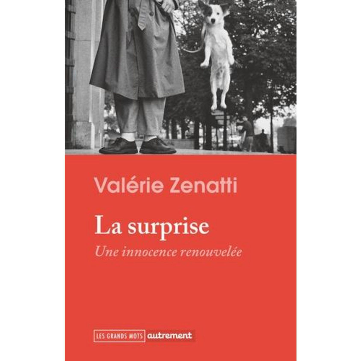 LA SURPRISE. UNE INNOCENCE RENOUVELEE, Zenatti Valérie