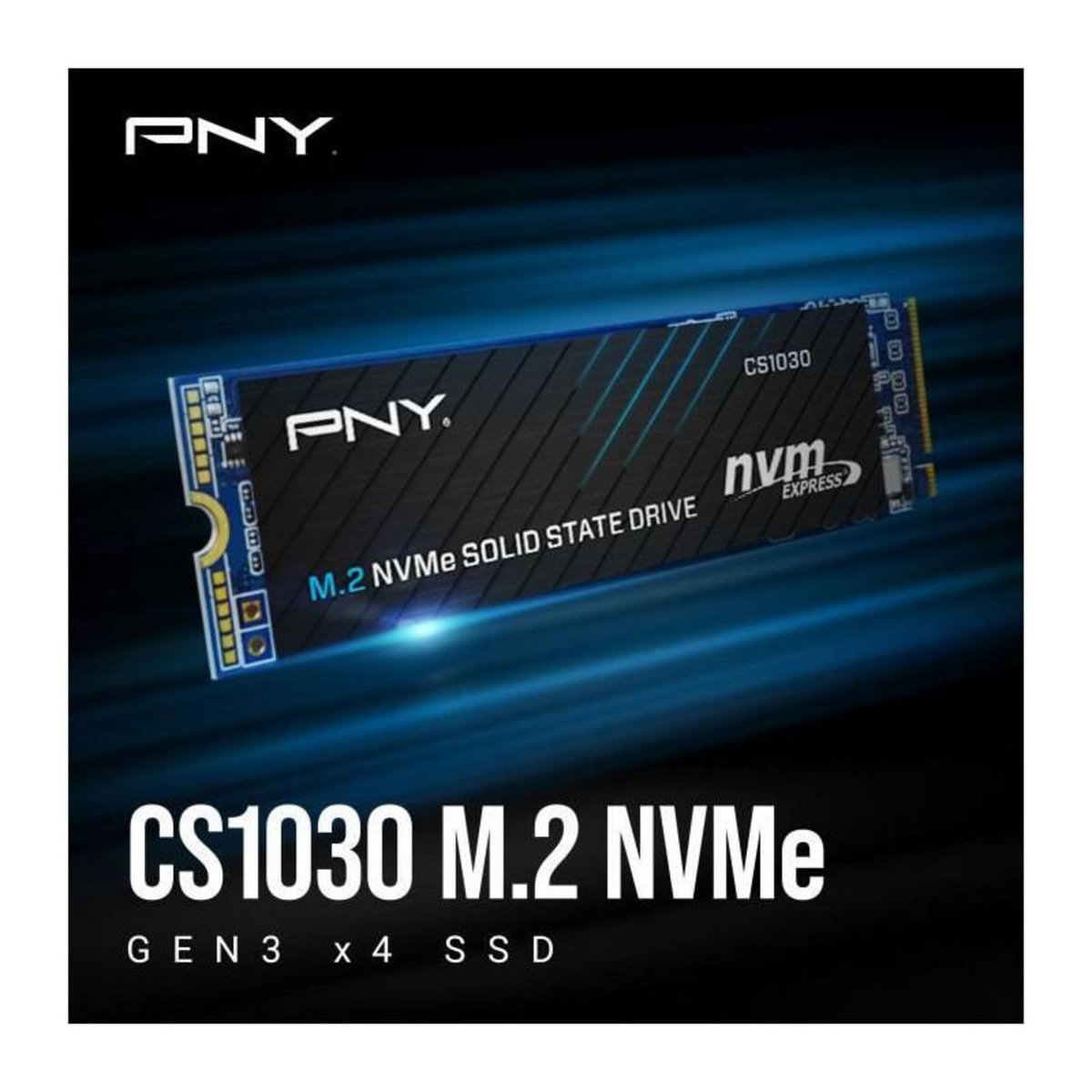 PNY Disque SSD Interne - PNY - CS1030 M.2 GEN3 - 250 Go - NVMe M280CS1030-250-RB