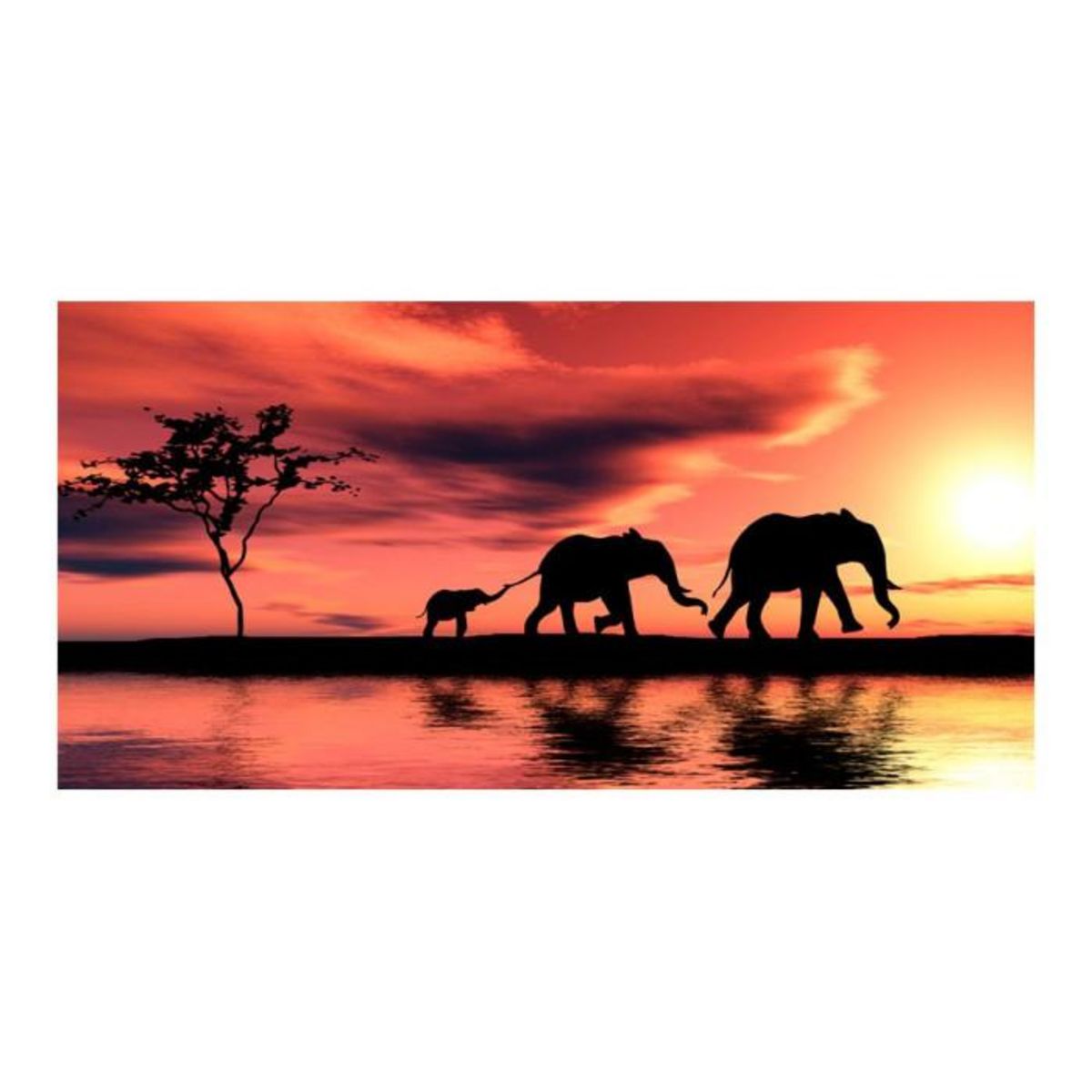 Paris Prix Papier Peint XXL  Eléphants : Famille  270x550cm