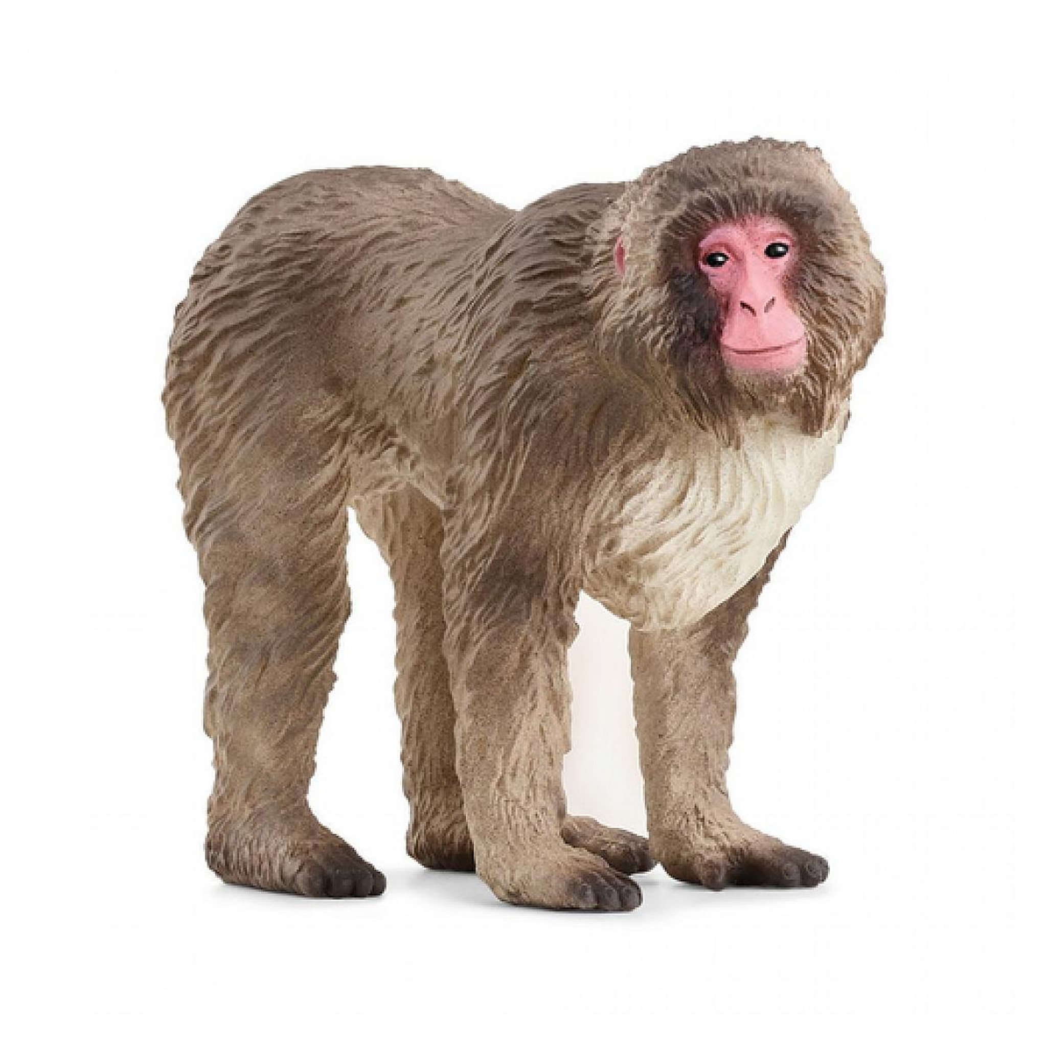 Schleich 14871 Figurine Macaque japonais -
