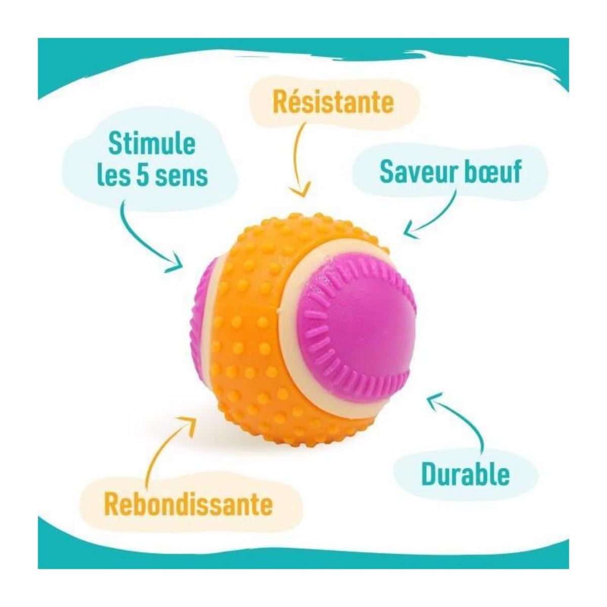AIME Balle pour chien - AIMÉ - 5 en 1 Saveur Boeuf