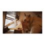 Voir la diapositive 2 : MICROIDS Blacksad Under The Skin - Jeu PS5