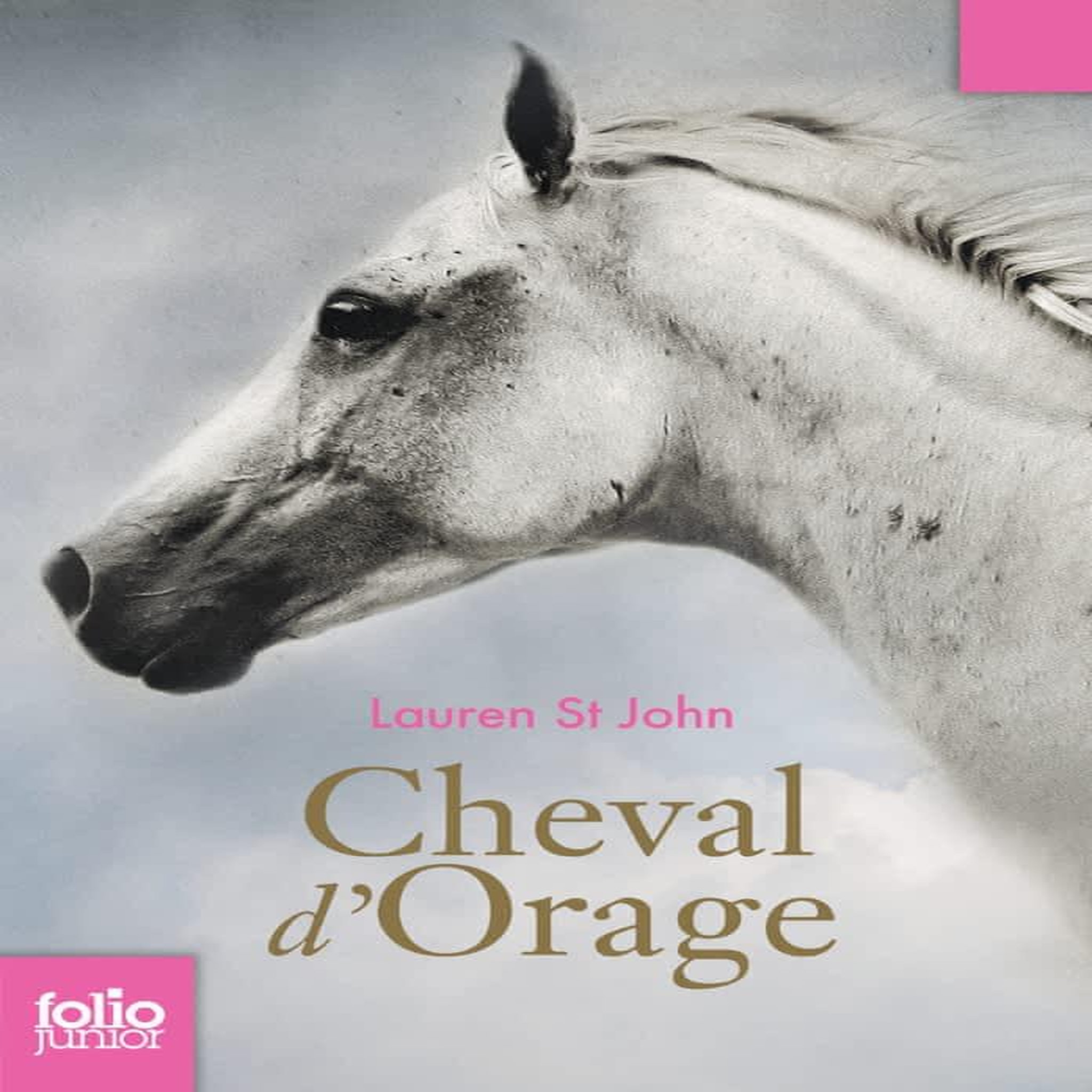 CHEVAL D'ORAGE TOME 1 : UN CHAMPION SANS PRIX, St John Lauren