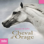 CHEVAL D'ORAGE TOME 1 : UN CHAMPION SANS PRIX, St John Lauren