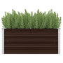 Voir la diapositive 1 : VIDAXL Lit sureleve de jardin Marron 100x40x45 cm Acier galvanise