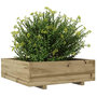 Voir la diapositive 4 : VIDAXL Jardiniere 80x80x26,5 cm bois de pin impregne