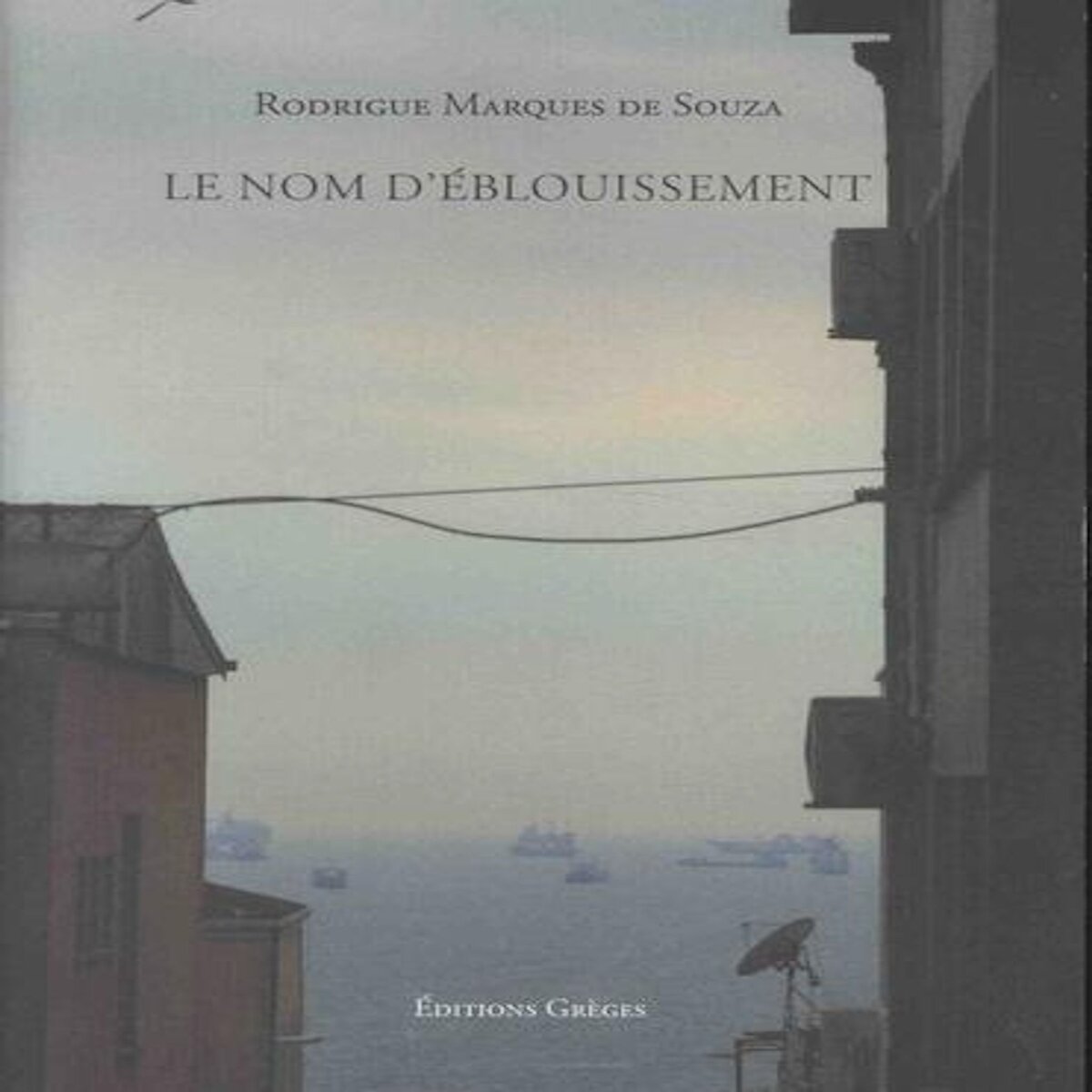 LE NOM D'EBLOUISSEMENT, Marques de Souza Rodrigue