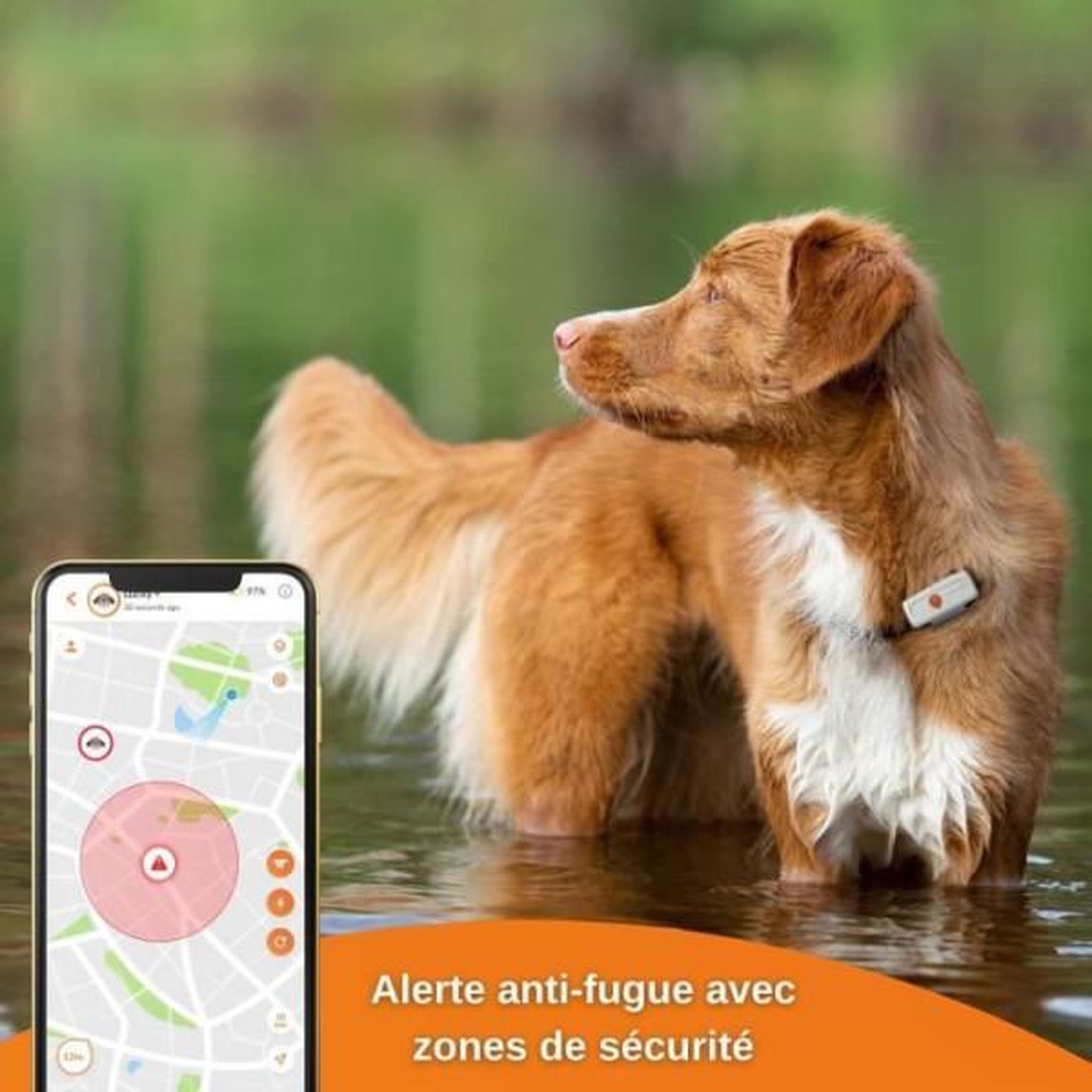 Voir la diapositive 4 : WEENECT Traceur GPS pour Chien - Weenect XS (White Edition 2023)