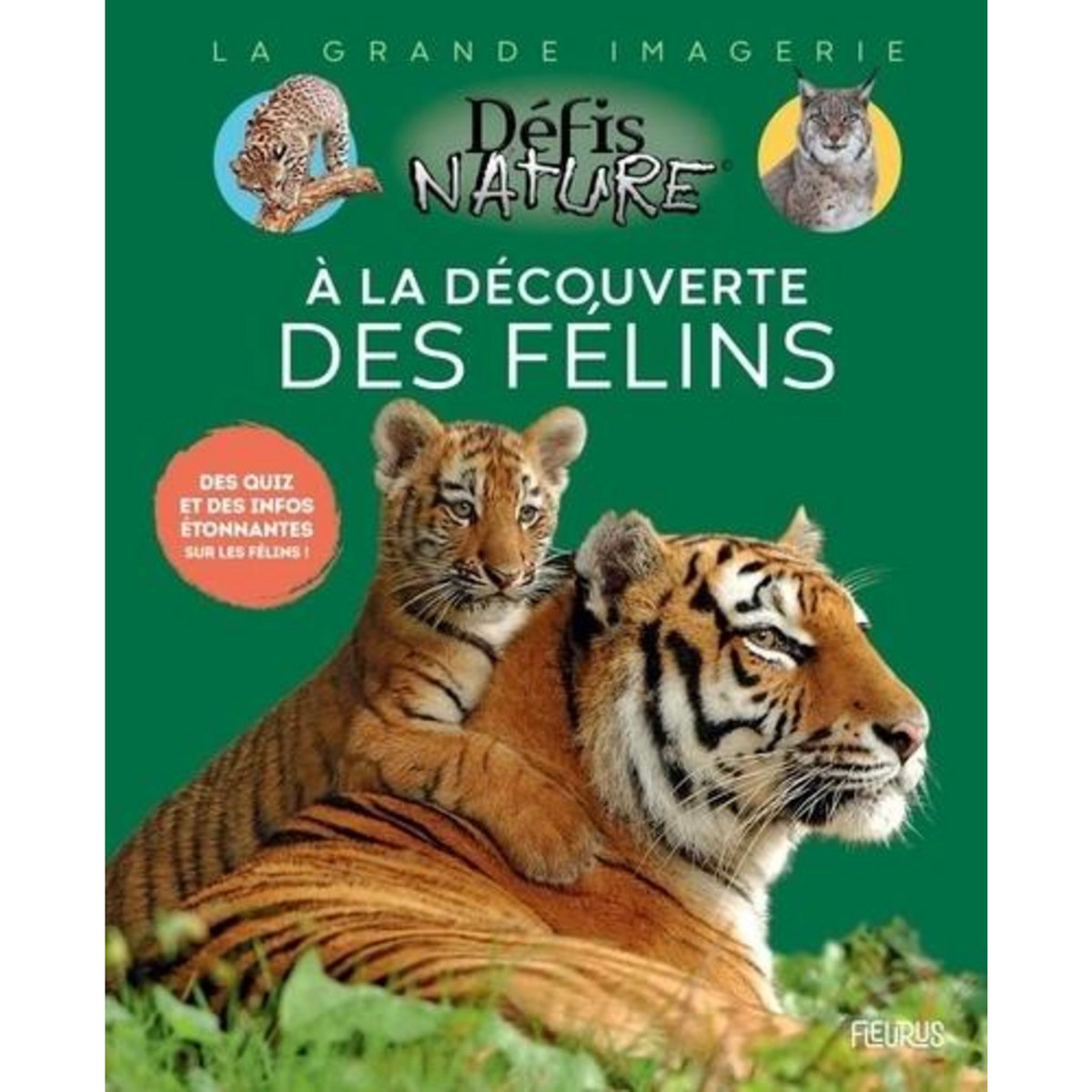 A LA DECOUVERTE DES FELINS, Journo Anouk