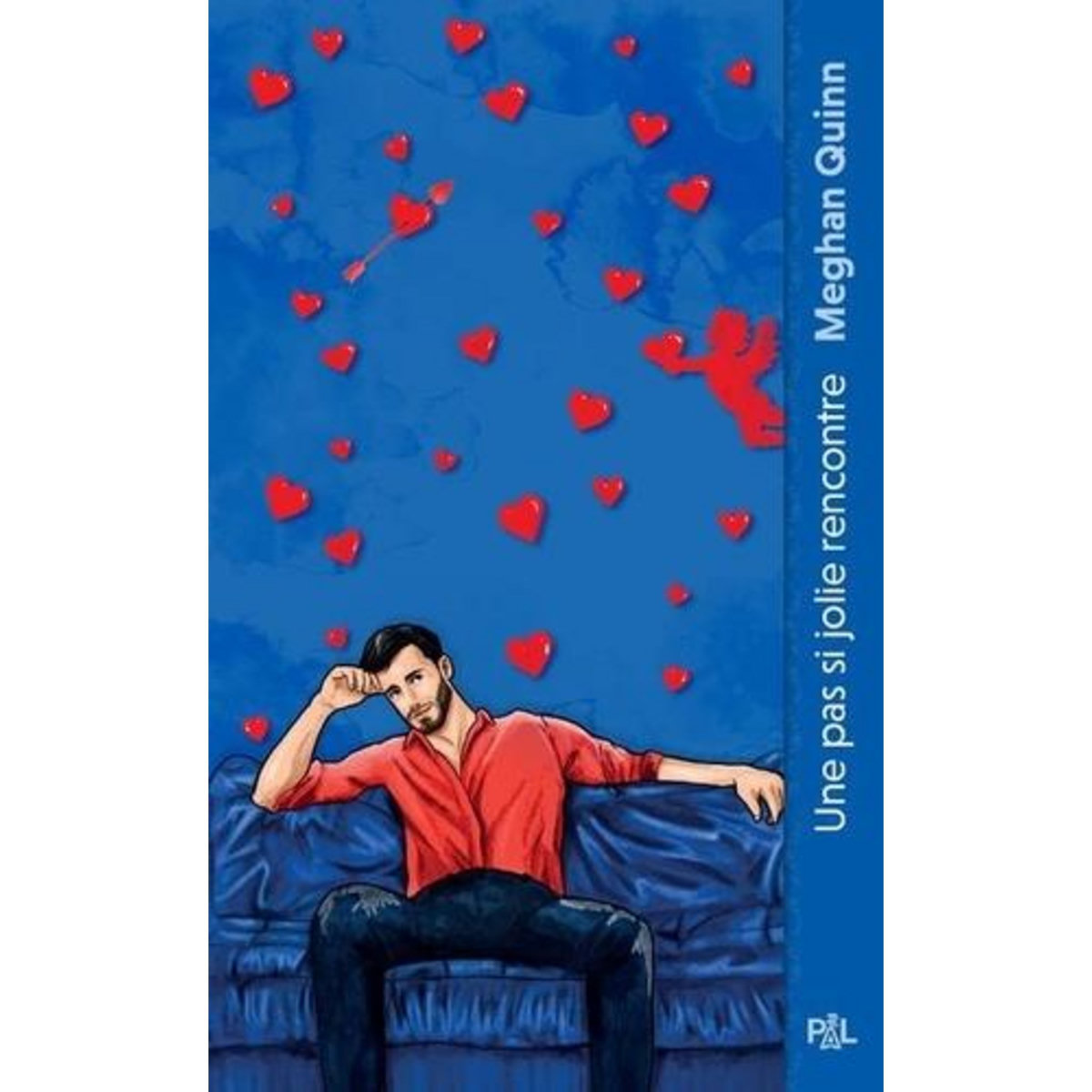 LES FRERES CANE TOME 1 : UNE PAS SI JOLIE RENCONTRE, Quinn Meghan