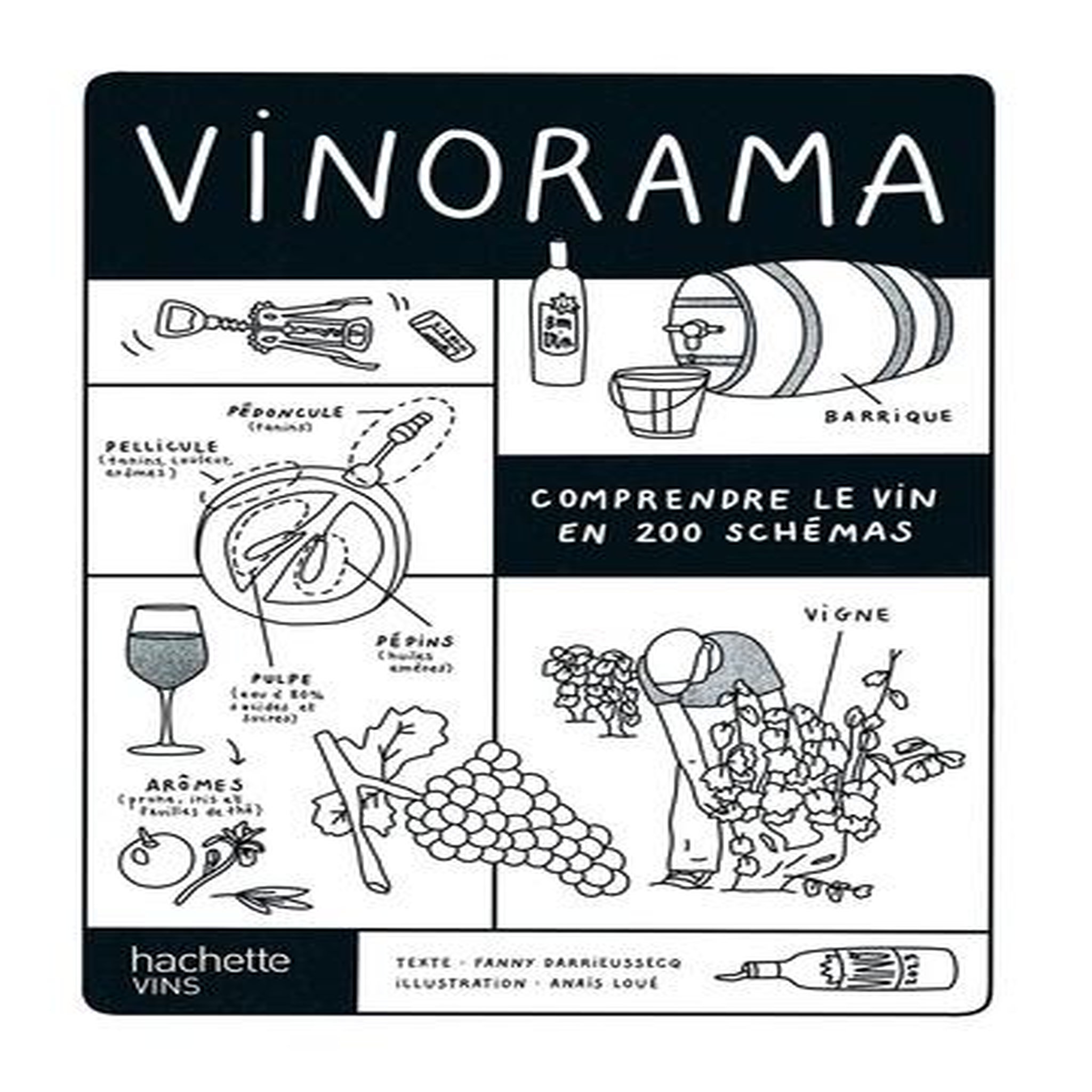 VINORAMA. COMPRENDRE LE VIN EN 200 SCHEMAS, Darrieussecq Fanny