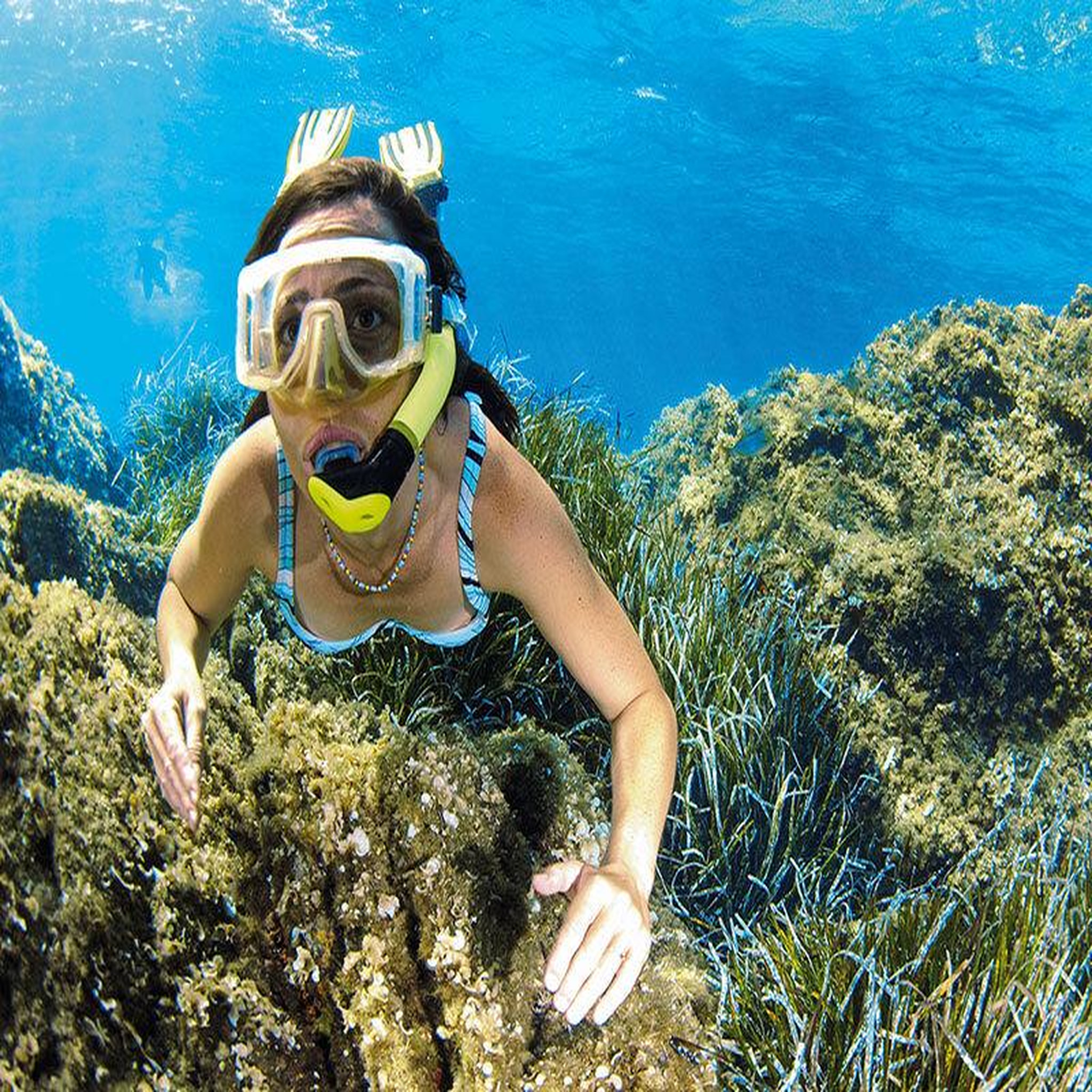 Voir la diapositive 2 : Smartbox Plongée en corse : sortie en snorkeling d'1h et baptême de 30 min pour 2 à calvi - coffret cadeau sport & aventure
