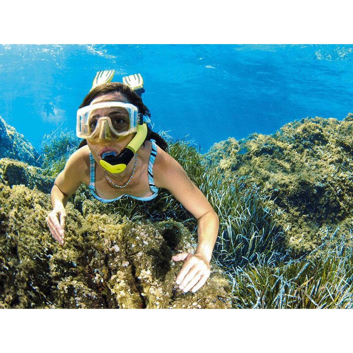 Smartbox Plongée en Corse : sortie en snorkeling d'1h et baptême de 30 min pour 2 à Calvi - Coffret Cadeau Sport & Aventure
