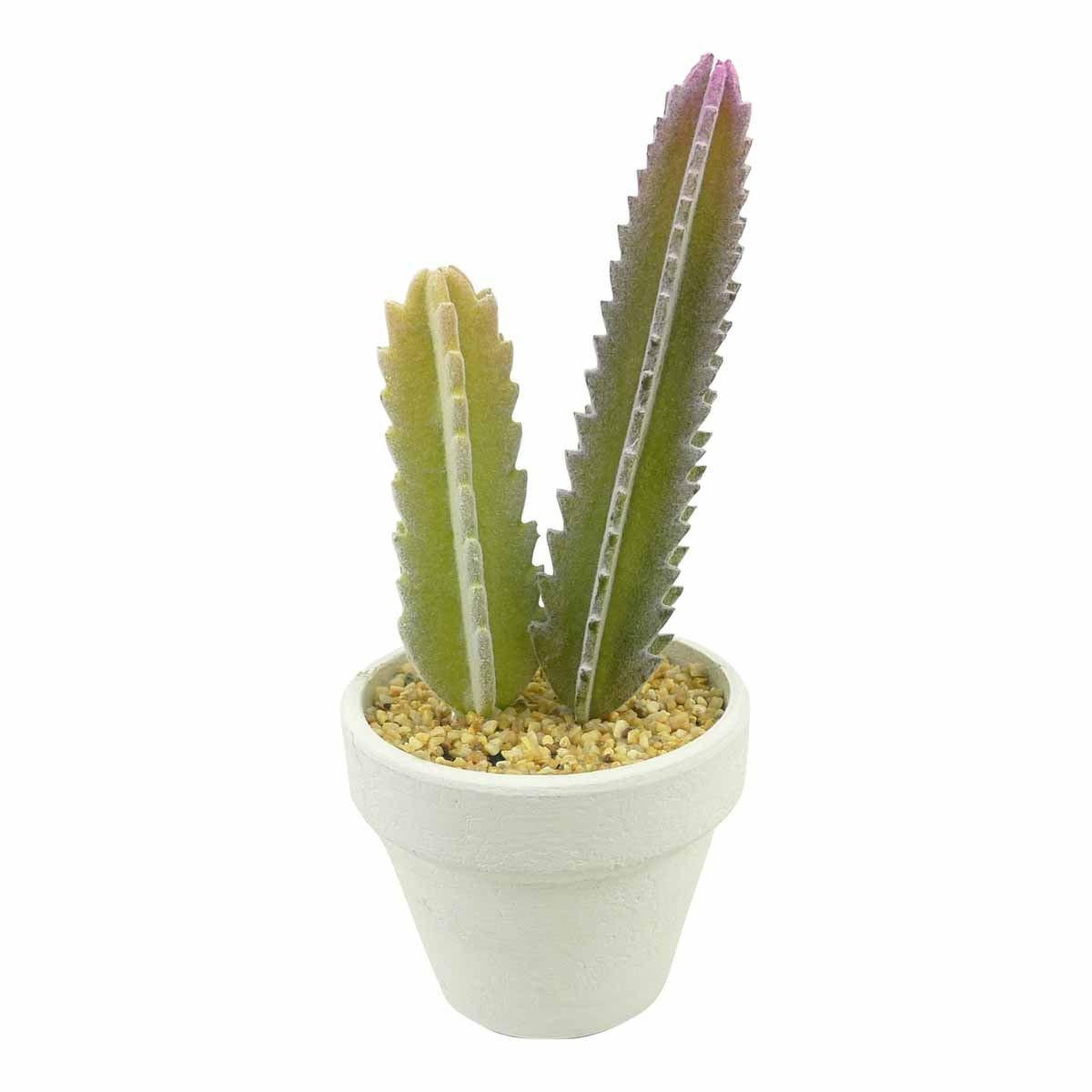 HOMEA Plante artificielle en pot 1 tige  cactus  22cm blanc