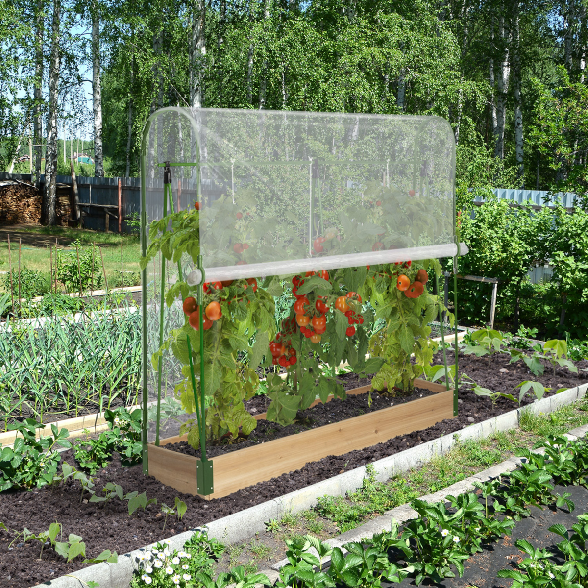 ID MARKET Serre à tomates spéciale croissance kit complet bâche + support