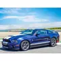 Smartbox Stage de pilotage : 4 tours sur le circuit de Pont-l'Évêque en Ford Mustang Shelby GT500 - Coffret Cadeau Sport & Aventure