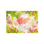 Voir la diapositive 2 : Paris Prix Papier Peint  Bright Peonies
