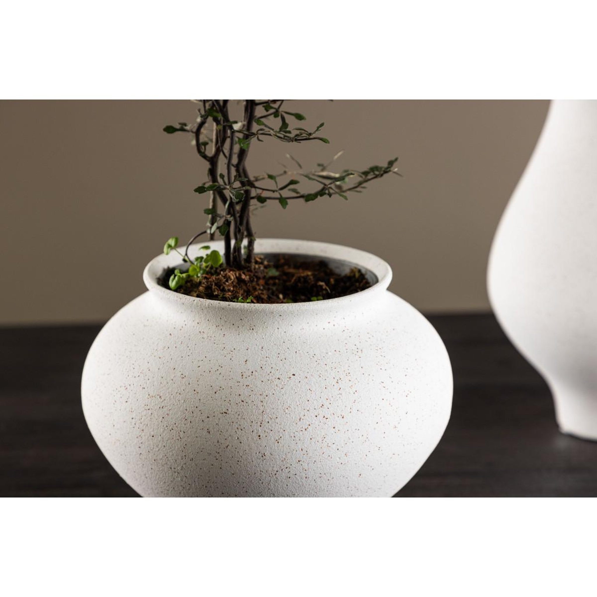 Voir la diapositive 3 : Paris Prix Vase design  rellis  18cm blanc