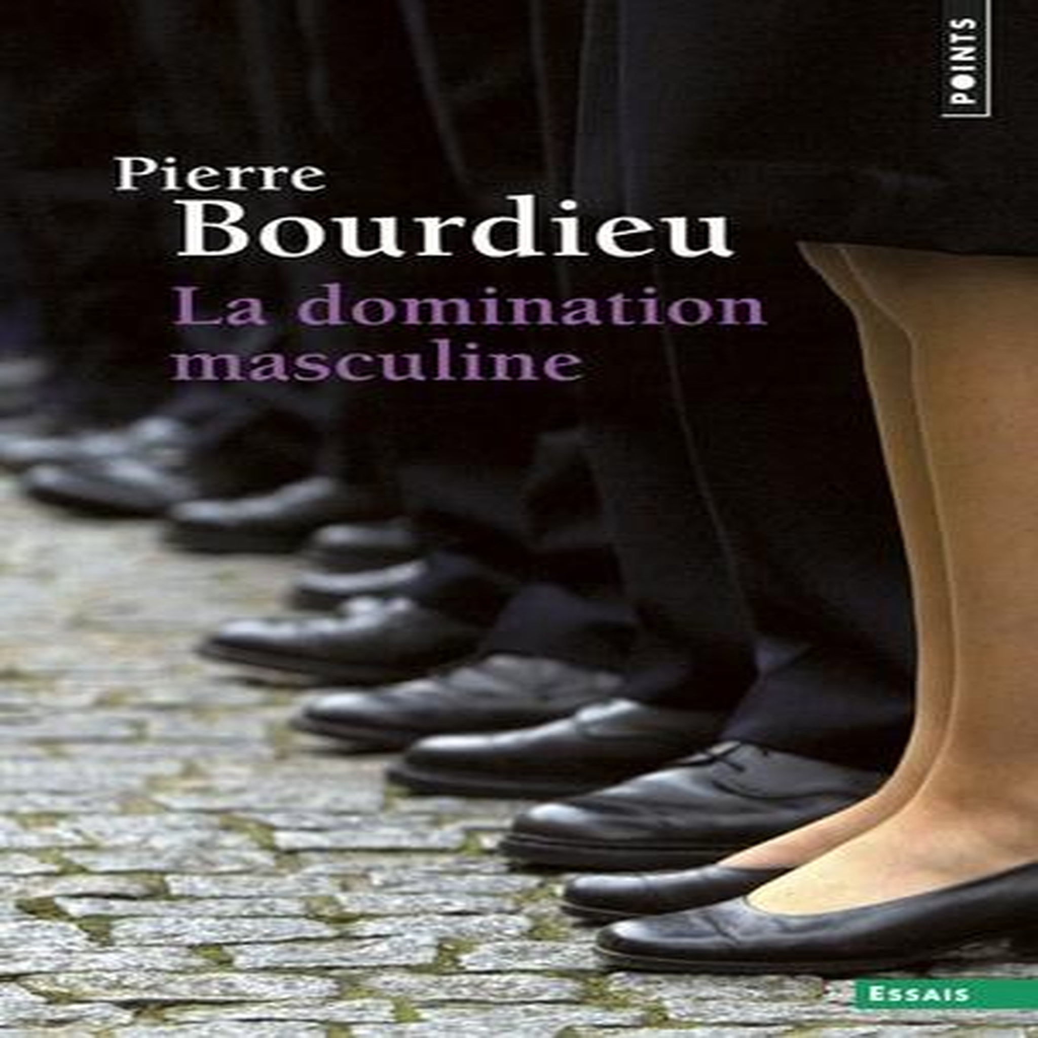 LA DOMINATION MASCULINE. SUIVI DE QUELQUES QUESTIONS SUR LE MOUVEMENT GAY ET LESBIEN, EDITION REVUE ET AUGMENTEE, Bourdieu Pierre