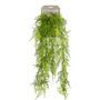 Voir la diapositive 1 : EMERALD Emerald Asperges Plumosus artificielle 80 cm