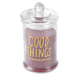 Paris Prix Bougie Parfumée Bocal  Winter Blush  14cm Rouge