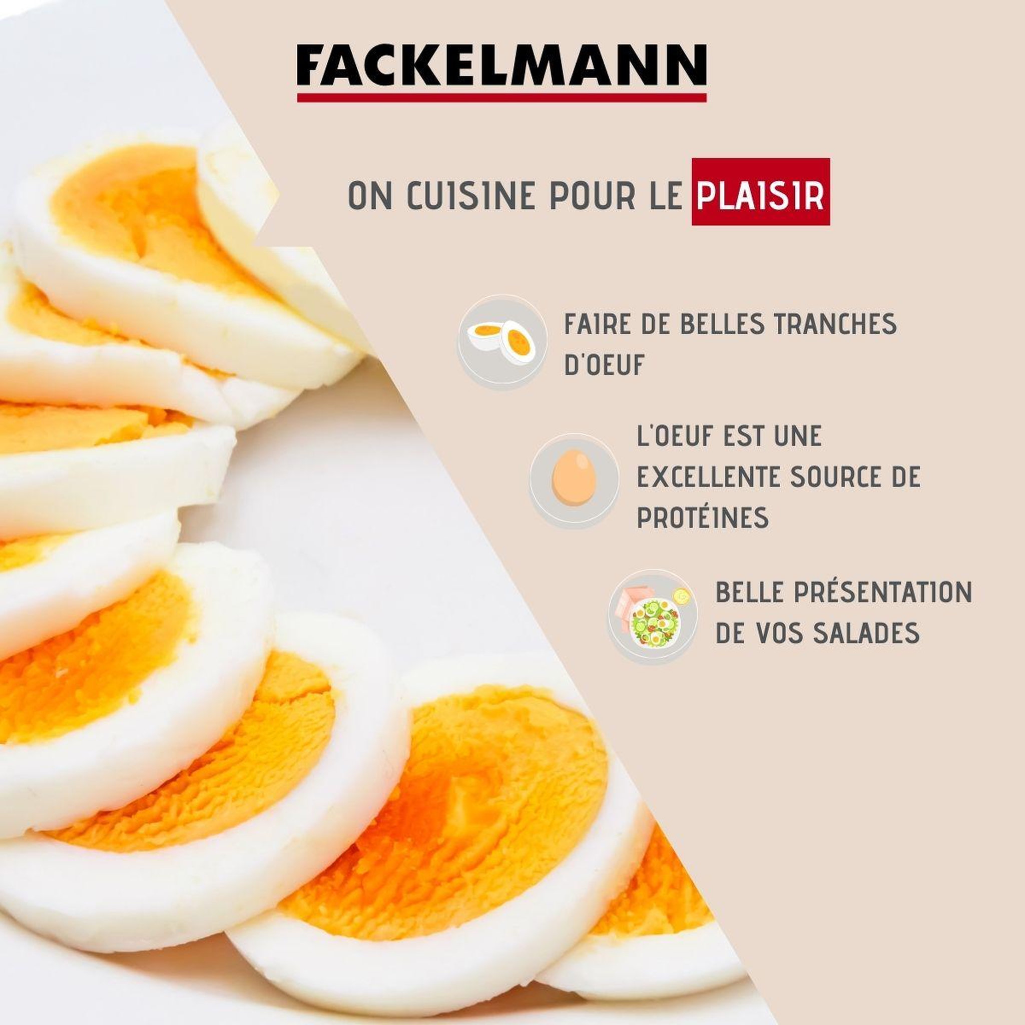 Voir la diapositive 2 : FM PROFESSIONAL Coupe oeuf tranche en inox FM Professional Divers