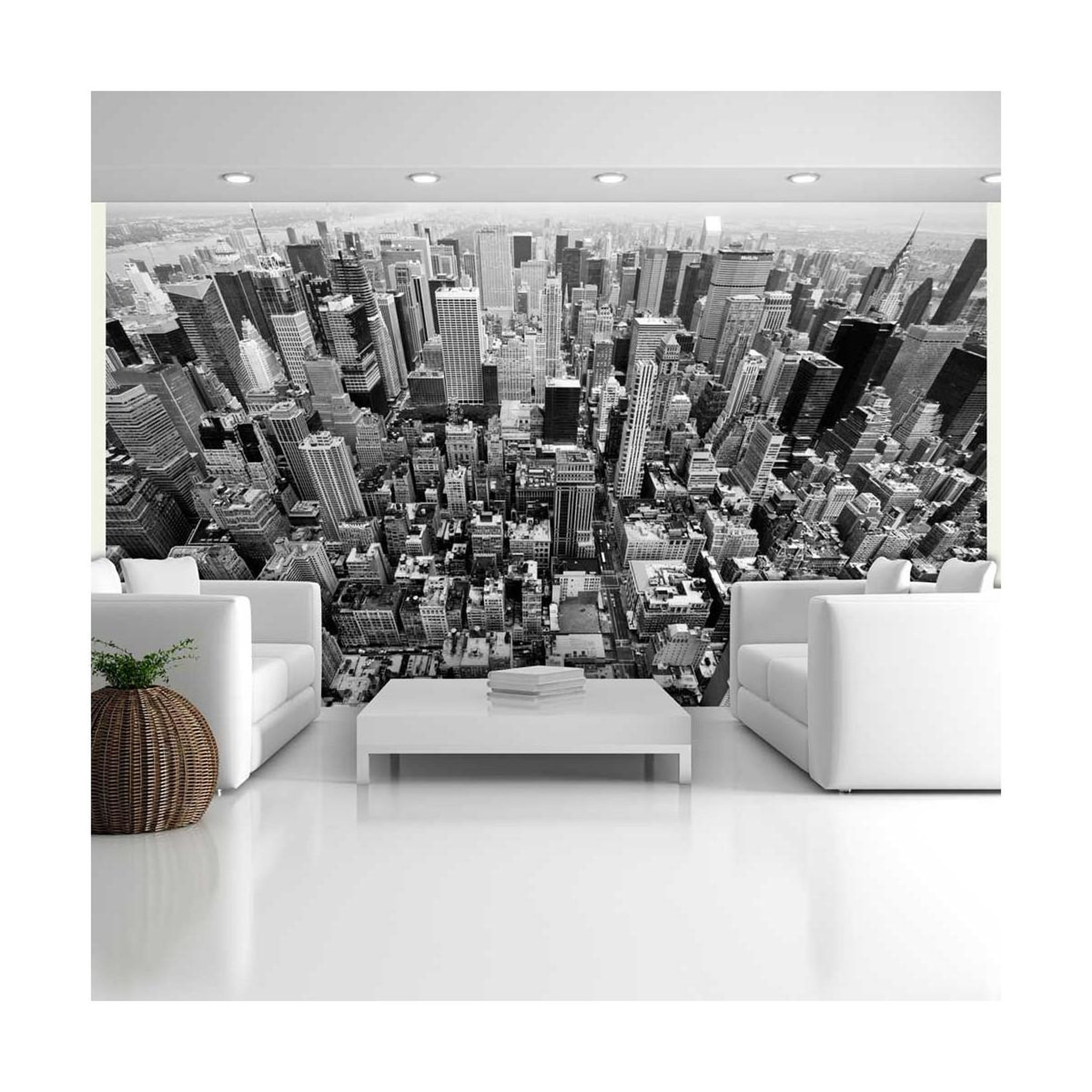 Paris Prix Papier peint  états unis, new york : noir & blanc ii  270x450cm