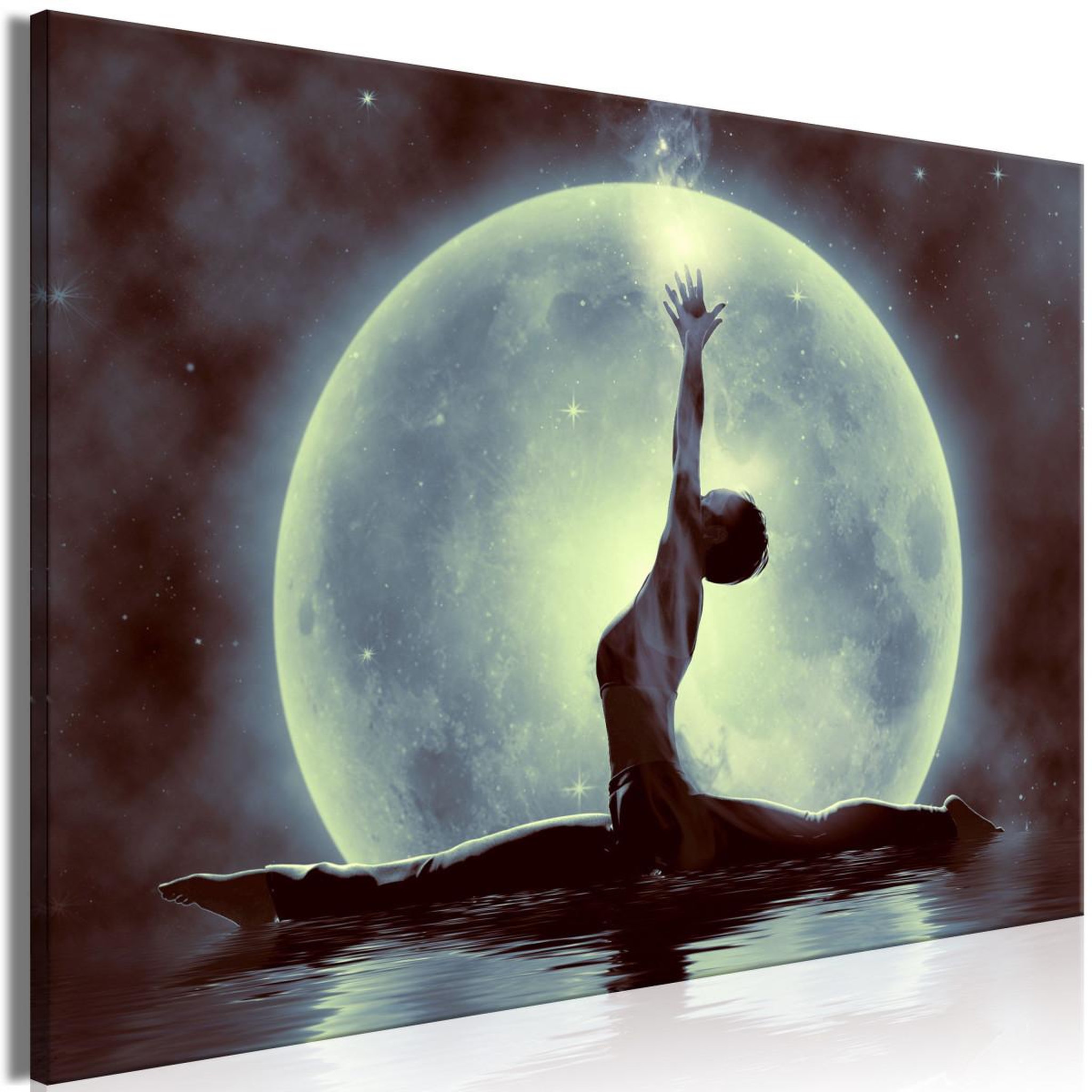 Voir la diapositive 1 : Paris Prix Tableau Imprimé  Twine Wide Green