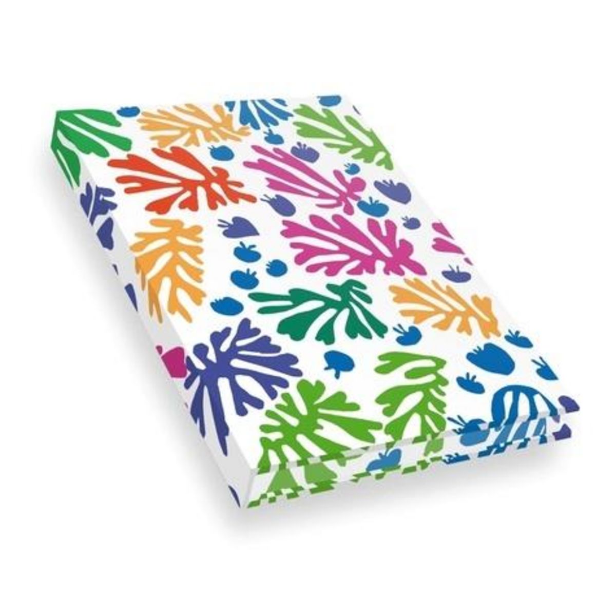 CARNET MATISSE - LA PERRUCHE ET LA SIRENE, Hazan