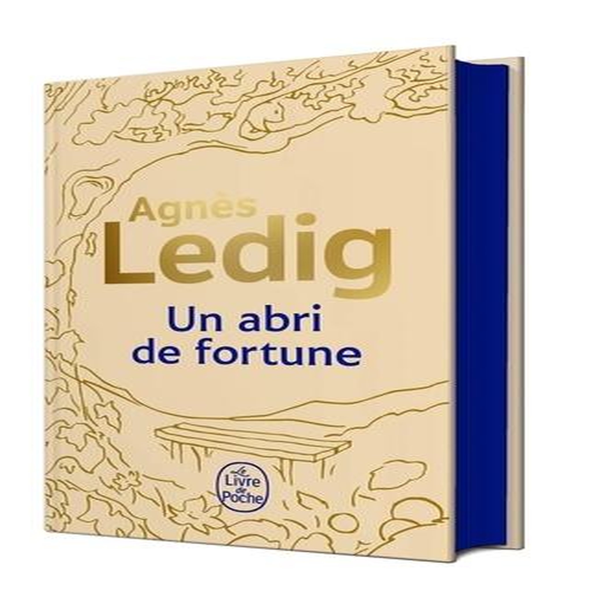 UN ABRI DE FORTUNE. EDITION COLLECTOR, Ledig Agnès