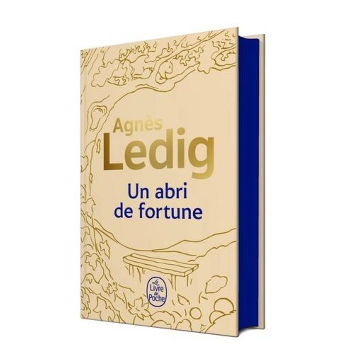UN ABRI DE FORTUNE. EDITION COLLECTOR, Ledig Agnès