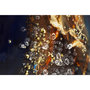 Voir la diapositive 5 : Paris Prix Tableau Imprimé  Andromeda I  60x90cm Multicolore