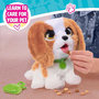 Voir la diapositive 3 : FURREAL FRIENDS Peluche intéractive - FURREAL FRIENDS - Cavalier King Charles - Des 4 ans