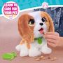 Voir la diapositive 3 : FURREAL FRIENDS Peluche intéractive - FURREAL FRIENDS - Cavalier King Charles - Des 4 ans