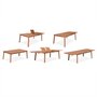 SWEEEK Salon de jardin en bois Almeria, grande table extensible 200 à 300cm rectangulaire 2 fauteuils 8 chaises eucalyptus et textilène