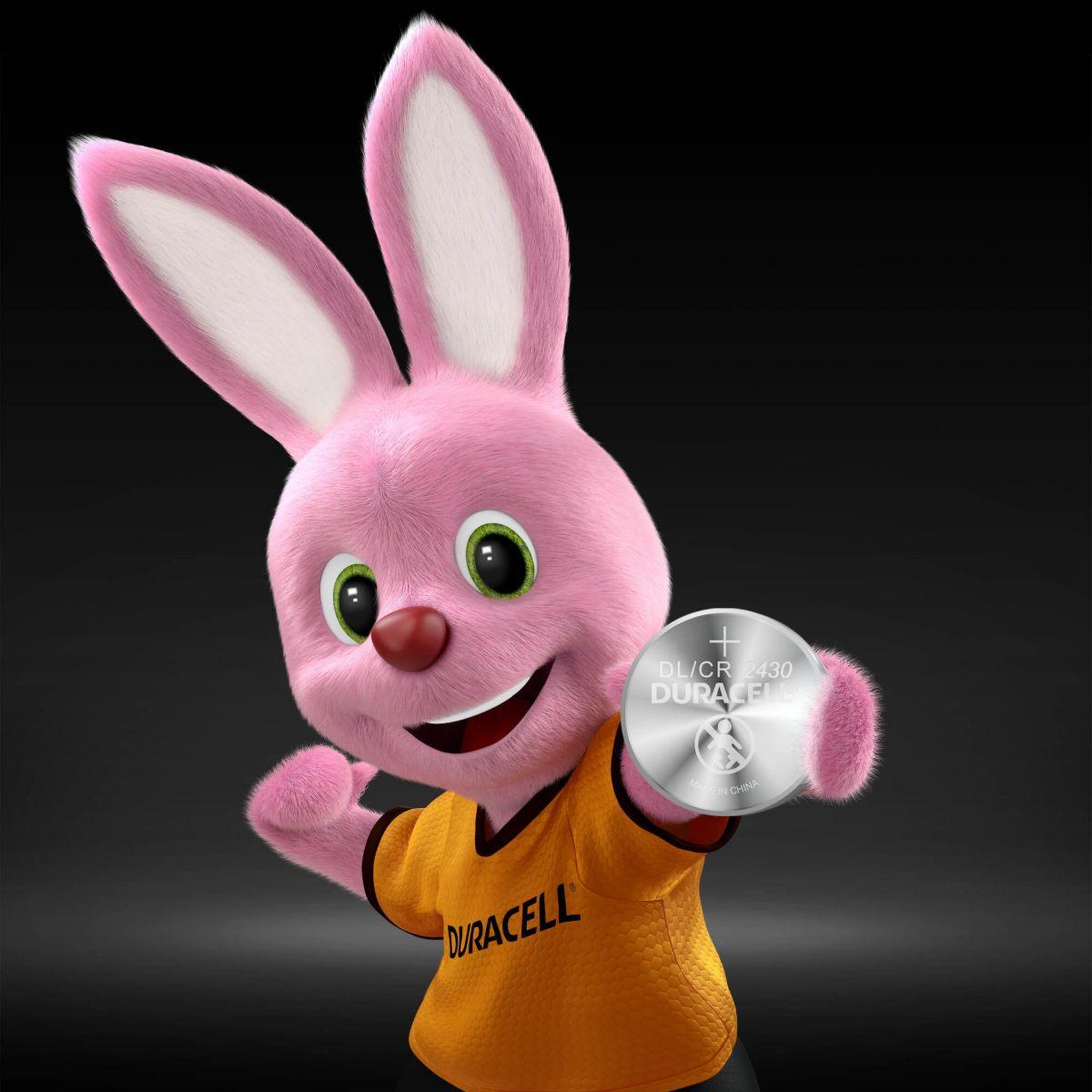 Voir la diapositive 5 : Duracell Pile 2430, 1 unité
