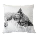Paris Prix Coussin Déco Chat  Vickie  40x40cm Écru