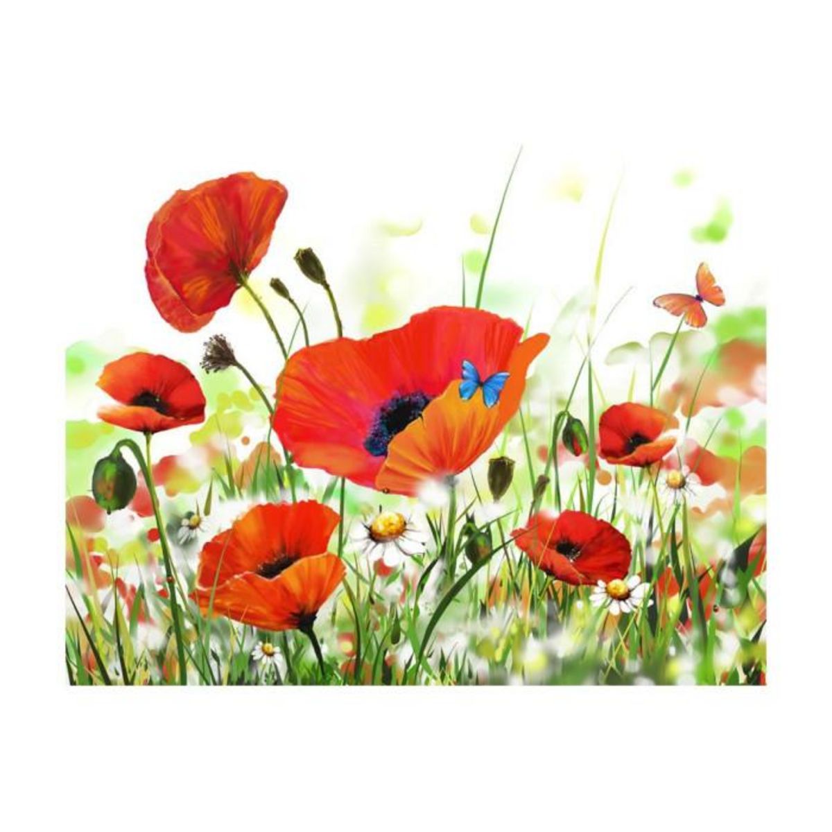 Paris Prix Papier Peint  Country Poppies