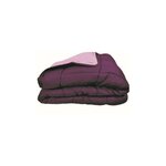 POYET MOTTE Couette chaude Microfibre 400 gr/m2 CALGARY Prune + Parme 240x260cm